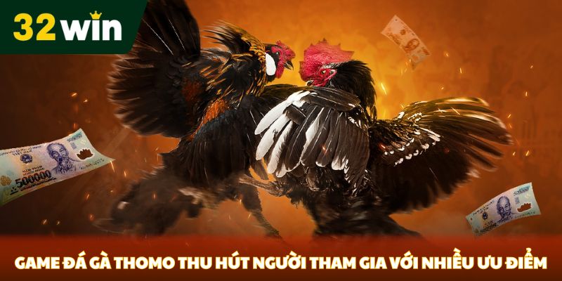 Game đá gà Thomo thu hút người tham gia với nhiều ưu điểm